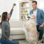 puppy training croydon