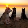 Why Boarding and Training Could Be the Best Gift You Give Your Dog (and Yourself!)